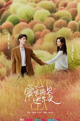 爱情的结果